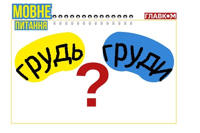 Філологиня пояснює сутність однина слова «груди»