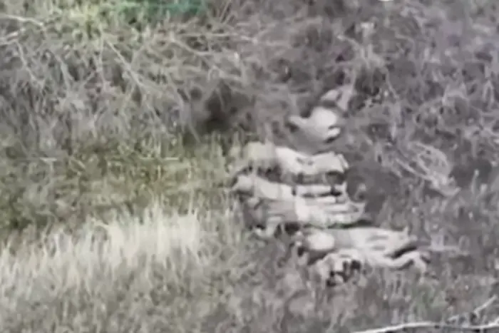 CNN veröffentlichte das Abhörprotokoll des Befehls der Russen, ukrainische Kriegsgefangene zu töten (Video)