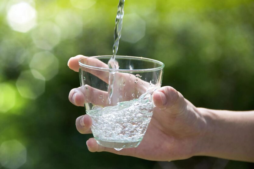 Innovative project: how the Danube can solve the water deficit problem in the south