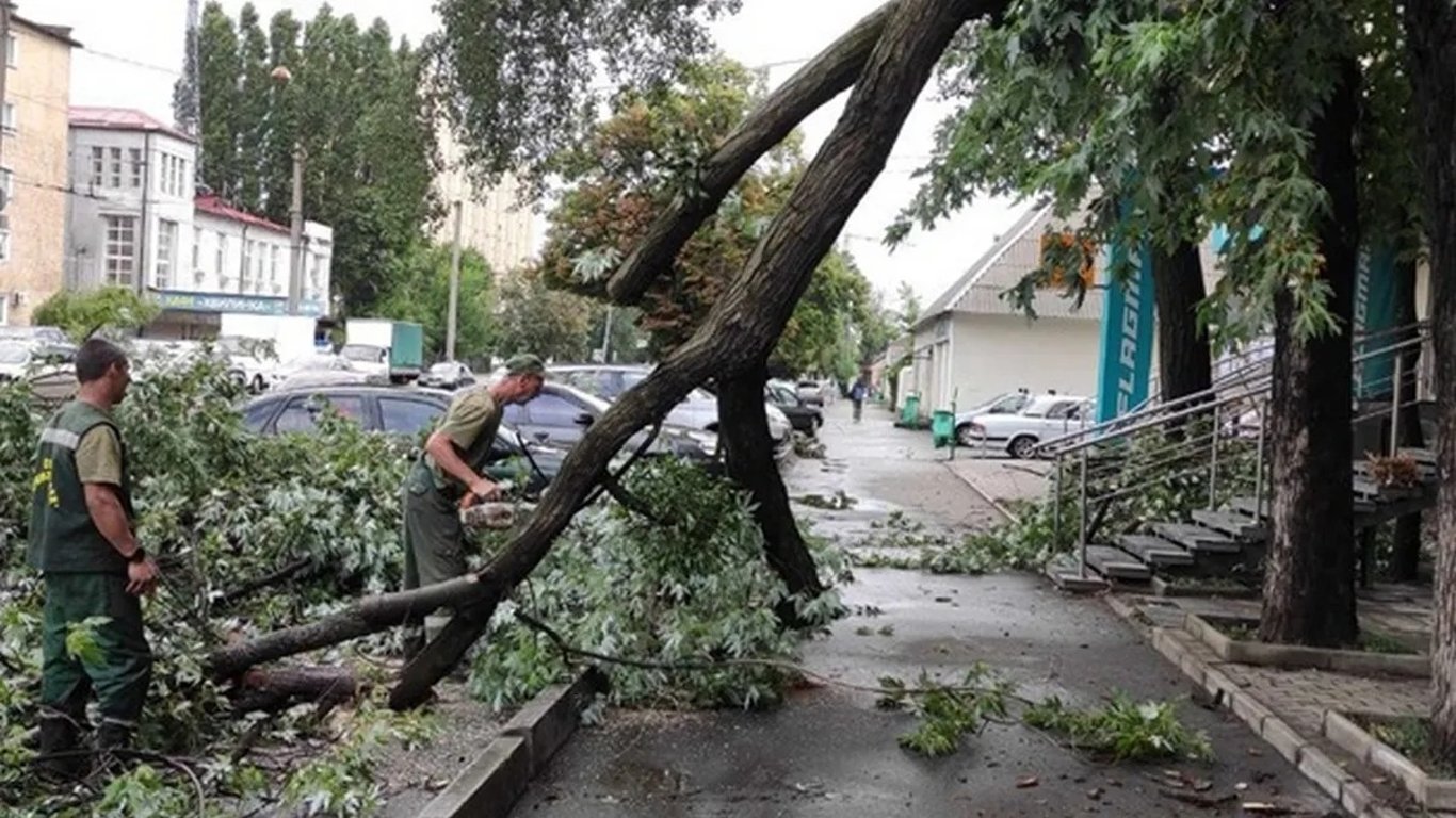 In Charkiw wütet das Unwetter - ein Baum fiel auf ein Kind