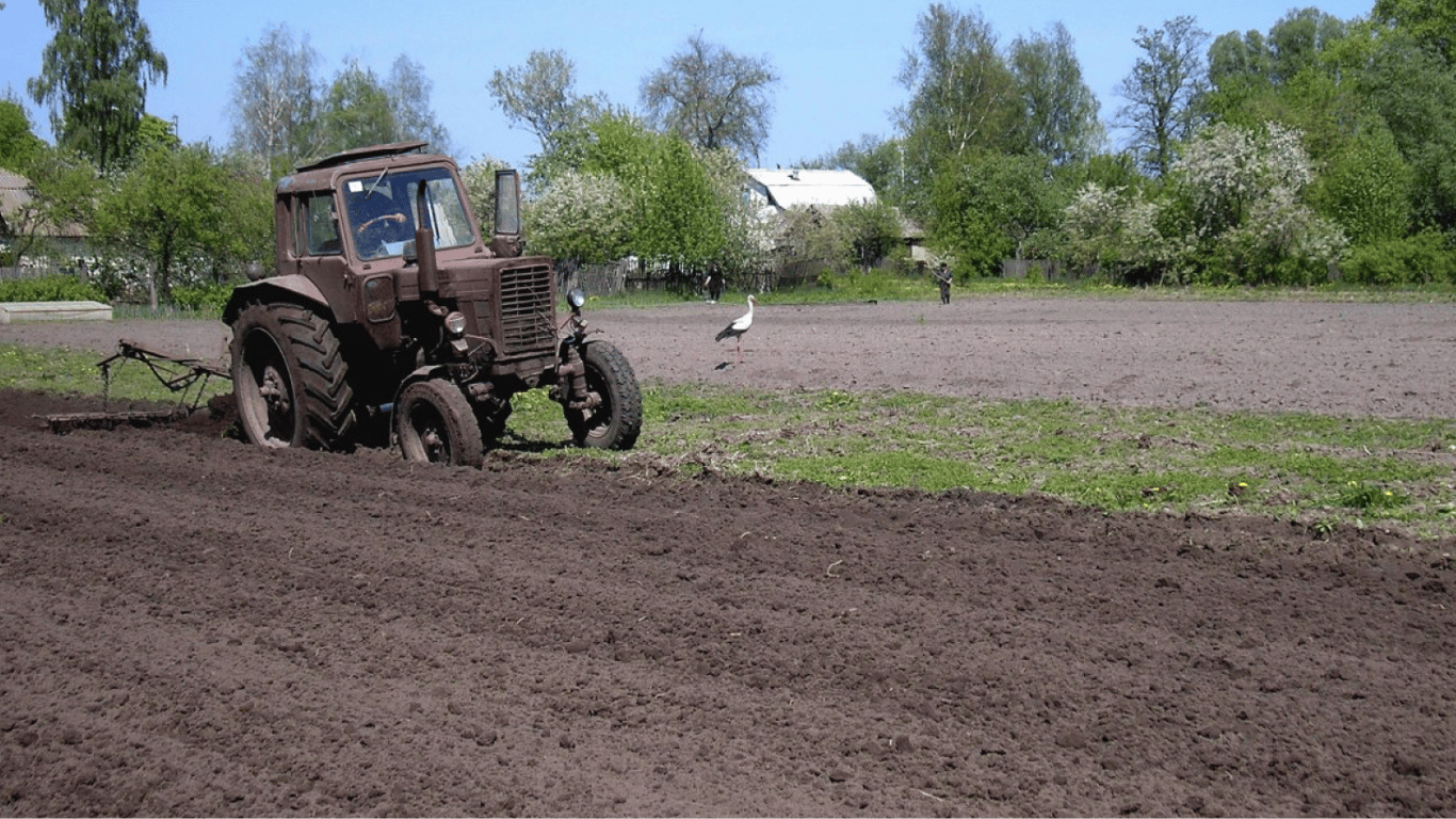 Wenn der Garten 