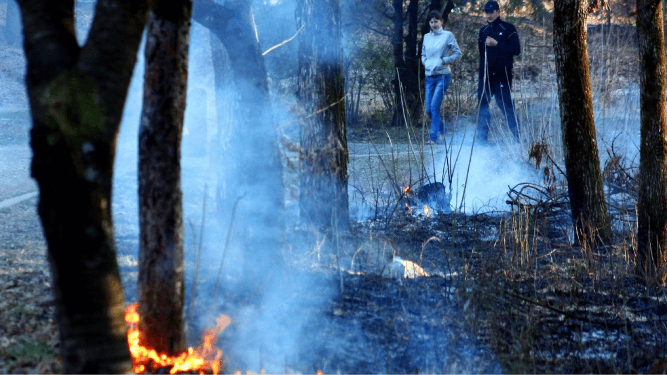 Utilization of Dry Grass — What Penalties Await Arsonists in 2025